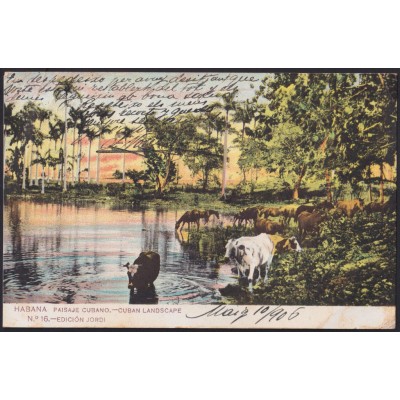 POS-1825 CUBA POSTCARD 1906 PAISAJE CUBANO CUBAN LANDSCAPE RIVER TO SPAIN.