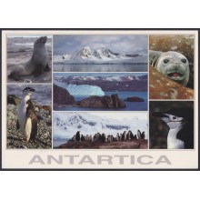 F-EX64182 CHILE ANTARCTIC TERRITORY 2003 COVER EDUARDO FREI STATION BIRD.
