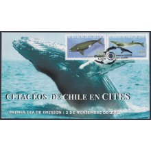 F-EX64187 CHILE 2002 FDC COVER CETACEOS FISH COVER.