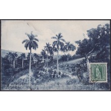 POS-1903 CUBA POSTCARD 1909 PALM VALLEY OF MATANZAS TO FRANCE.