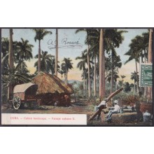 POS-1905 CUBA POSTCARD 1910 COUNTRY LANDSCAPE BOHIO HOUSE TO FRANCE.
