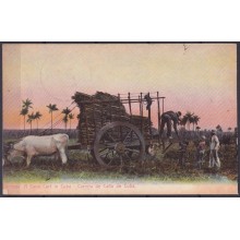 POS-1911 CUBA POSTCARD 1909 COUNTRY LANDSCAPE CANE IN CART CARRETA DE CAÑAS.