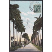 POS-1914 CUBA POSTCARD 1910 HAVANA ROYAL PALM AVENUE CIENFUEGOS TO FRANCE.