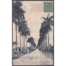 POS-1925 CUBA POSTCARD 1917 1c MAPITAS PALM AVENUE LANDSCAPE TO ARGENTINA.