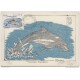 1980-FDC-3 CUBA. TARJETA MAXIMA SOBRE GRABADO ORIGINAL OTTON. SOLO 100.  MAMIFEROS. PECES. FISH. DELFIN. DOLPHINS.