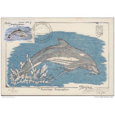 1980-FDC-3 CUBA. TARJETA MAXIMA SOBRE GRABADO ORIGINAL OTTON. SOLO 100.  MAMIFEROS. PECES. FISH. DELFIN. DOLPHINS.