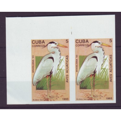 1993-12 CUBA Aves Acuaticas 5c MNH pareja imperforada