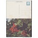 1978-EP-5 CUBA 1978. Ed.122b. POSTAL STATIONERY. MOTHER DAY SPECIAL DELIVERY. CARTULINA MATE. ROSAS. ROSE. FLOWERS. FLOR