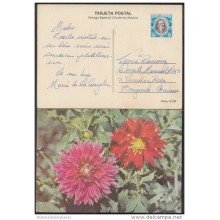 1980-EP-6 CUBA 1980. Ed.125i. MOTHER DAY SPECIAL DELIVERY. ENTERO POSTAL. POSTAL STATIONERY. ROSAS. ROSE. FLOWERS. FLORE