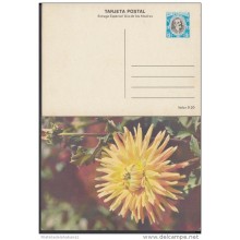 1980-EP-8 CUBA 1980. Ed.125c. MOTHER DAY SPECIAL DELIVERY. ENTERO POSTAL. POSTAL STATIONERY. ROSAS. ROSE. FLOWERS. FLORE