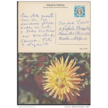 1980-EP-9 CUBA 1980. Ed.125c. MOTHER DAY SPECIAL DELIVERY. ENTERO POSTAL. POSTAL STATIONERY. ROSAS. ROSE. FLOWERS. FLORE