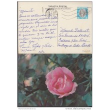1982-EP-2 CUBA 1982. Ed.129d. MOTHER DAY SPECIAL DELIVERY. ENTERO POSTAL. POSTAL STATIONERY. ROSAS. ROSE. FLOWERS. FLORE