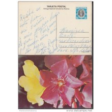 1982-EP-4 CUBA 1982. Ed.130a. MOTHER DAY SPECIAL DELIVERY. ENTERO POSTAL. POSTAL STATIONERY. ROSAS. ROSE. FLOWERS. FLORE