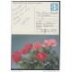 1989-EP-10 CUBA 1989. Ed.145i. MOTHER DAY SPECIAL DELIVERY. ENTERO POSTAL. POSTAL STATIONERY. ROSAS. ROSES. FLOWERS. FLO