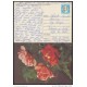 1990-EP-2 CUBA 1990. Ed.147a. MOTHER DAY SPECIAL DELIVERY. ENTERO POSTAL. POSTAL STATIONERY. ROSAS. ROSES. FLOWERS. FLOR