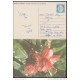 1990-EP-9 CUBA 1990. Ed.148b. MOTHER DAY SPECIAL DELIVERY. POSTAL STATIONERY. CARTULINA MATE. FLOWERS. FLORES. USED.