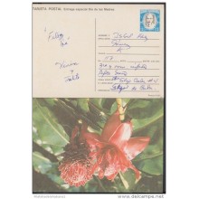 1990-EP-9 CUBA 1990. Ed.148b. MOTHER DAY SPECIAL DELIVERY. POSTAL STATIONERY. CARTULINA MATE. FLOWERS. FLORES. USED.