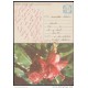 1990-EP-11 CUBA 1990. Ed.148. MOTHER DAY SPECIAL DELIVERY. POSTAL STATIONERY. ERROR DE COLOR. FLOWERS. FLORES. USED.