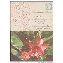 1990-EP-11 CUBA 1990. Ed.148. MOTHER DAY SPECIAL DELIVERY. POSTAL STATIONERY. ERROR DE COLOR. FLOWERS. FLORES. USED.