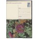 1991-EP-28 CUBA 1991. Ed.149g. MOTHER DAY SPECIAL DELIVERY. POSTAL STATIONERY. ERROR DE CORTE. FLORES. FLOWERS. UNUSED.