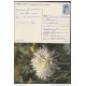 1991-EP-30 CUBA 1991. Ed.149f. MOTHER DAY SPECIAL DELIVERY. ENTERO POSTAL. POSTAL STATIONERY. FLORES. FLOWERS. USED.