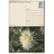 1991-EP-31 CUBA 1991. Ed.149f. MOTHER DAY SPECIAL DELIVERY. ENTERO POSTAL. POSTAL STATIONERY. FLORES. FLOWERS. UNUSED.