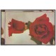 1975-EP-7 CUBA 1981. Ed.118c. MOTHER DAY SPECIAL DELIVERY. POSTAL STATIONERY. ROSAS. ROSE. FLOWERS. FLORES. ERROR DE COR
