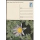 1991-EP-16 CUBA 1991. Ed.149j. MOTHER DAY SPECIAL DELIVERY. POSTAL STATIONERY. ERROR DE CORTE. FLORES. FLOWERS. UNUSED.