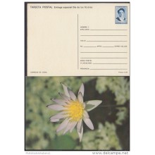 1991-EP-14 CUBA 1991. Ed.149j. MOTHER DAY SPECIAL DELIVERY. ENTERO POSTAL. POSTAL STATIONERY. FLORES. FLOWERS. UNUSED.