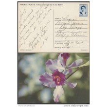 1991-EP-24 CUBA 1991. Ed.149h. MOTHER DAY SPECIAL DELIVERY. ENTERO POSTAL. POSTAL STATIONERY. FLORES. FLOWERS. USED.