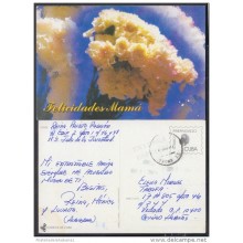 1999-EP-25 CUBA 1999. Ed.29v. MOTHER DAY SPECIAL DELIVERY. ENTERO POSTAL. POSTAL STATIONERY. FLOWERS. FLORES. USED.