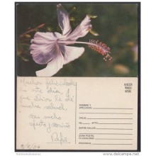 1994-EP-5 CUBA 1994. Ed.AP21a. MOTHER DAY SPECIAL DELIVERY. POSTAL STATIONERY. ROSAS. ROSE. FLOWERS. FLORES. USED.