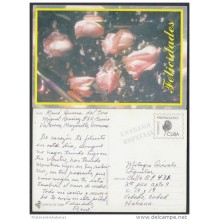 1999-EP-4 CUBA 1999. Ed.29a. MOTHER DAY SPECIAL DELIVERY. ENTERO POSTAL. POSTAL STATIONERY. FLOWERS. FLORES. USED.