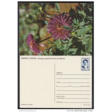 1991-EP-40 CUBA 1991. Ed.149g. MOTHER DAY SPECIAL DELIVERY. POSTAL STATIONERY. FLORES. FLOWERS. UNUSED.