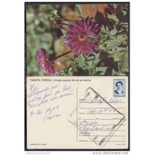 1991-EP-42 CUBA 1991. Ed.149g. MOTHER DAY SPECIAL DELIVERY. POSTAL STATIONERY. FLORES. FLOWERS. CANCELADA. USED.