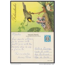 1981-EP-23 CUBA 1981. Ed.181a. MOTHER DAY SPECIAL DELIVERY. POSTAL STATIONERY. ANTONIO MACEO. BIRDS. AVES. USED.