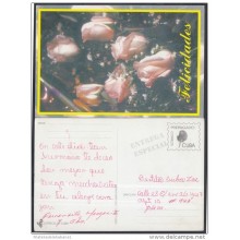 1999-EP-78 CUBA 1999. Ed.29a. MOTHER DAY SPECIAL DELIVERY. POSTAL STATIONERY. FLORES. FLOWERS. USED.