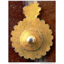 PIN-40 CUBA HISTORICAL PIN ORTODOXOS. PARTIDO DEL PUEBLO CUBANO CHIVAS.