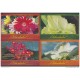 2009-EP-6 CUBA 2009. Ed. MOTHER DAY SPECIAL DELIVERY. POSTAL STATIONERY. SET 40-40. FLORES. ROSAS. FLOWERS. UNUSED.