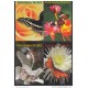2006-EP-1 CUBA 2006. Ed. MOTHER DAY SPECIAL DELIVERY. POSTAL STATIONERY. SET 35-35. FLORES. ROSAS. FLOWERS. USED.