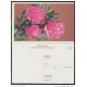 1995-EP-2 CUBA 1995. Ed.1b. MOTHER DAY SPECIAL DELIVERY. POSTAL STATIONERY. FLORES. FLOWERS. USED.