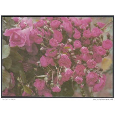 1996-EP-11 CUBA 1996. Ed.2b. MOTHER DAY SPECIAL DELIVERY. POSTAL STATIONERY. ROSAS. ROSES. FLORES. FLOWERS. UNUSED.
