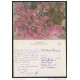 1996-EP-12 CUBA 1996. Ed.2b. MOTHER DAY SPECIAL DELIVERY. POSTAL STATIONERY. ROSAS. ROSES. FLORES. FLOWERS. USED.