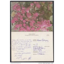 1996-EP-12 CUBA 1996. Ed.2b. MOTHER DAY SPECIAL DELIVERY. POSTAL STATIONERY. ROSAS. ROSES. FLORES. FLOWERS. USED.