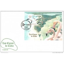 2007-FDC-11 CUBA FDC 2007. CUBA KEY FLAMINGO BIRD, CAYOS DE CUBA, FLAMENCOS, IGUANAS, CAREY, GABIOTAS ETC.