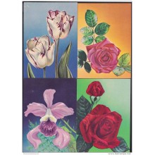 1983-EP-112 CUBA. POSTAL STATIONERY. 1983. Ed.133a-i. MOTHER DAY. DIA DE LAS MADRES COMPLETE SET OF 9. FLORES. FLOWERS.