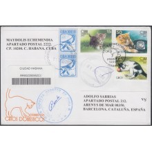 2007-FDC-100 CUBA 2007 FDC REG. COVER TO SPAIN. GATOS DOMESTICOS. FELINE CATS. SET + SHEET.
