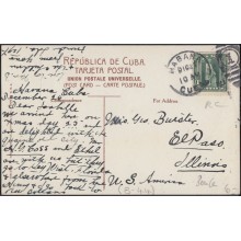 POS-352 CUBA POSTCARD HAVANA. HABANA 1907. PLANTACION DE PIÑAS. FIELD OF PINEAPPLE TO US.