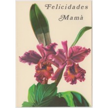 1981-EP-102 CUBA 1981 POSTAL STATIONERY. Ed.128e. DIA DE LAS MADRES. MOTHER DAY SPECIAL DELIVERY. ORCHILD FLOWER UNUSED