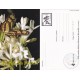 2006-EP-16 CUBA 2006 POSTAL STATIONERY MOTHER DAY SPECIAL DELIVERY BUTTERFLIES MARIPOSAS FLOWERS FLORES UNUSED.